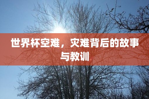 世界杯空难，灾难背后的故事与教训眉山市正发家政服务有限公司