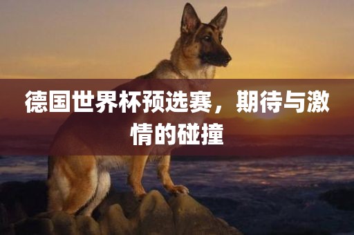 德国世界杯预选赛，期待与激情的碰撞