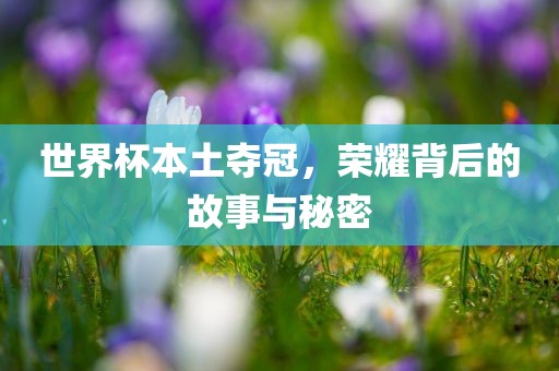 世界杯本土夺冠，荣耀背后的故事与秘密