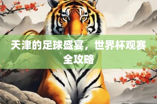 天津的足球盛宴，世界杯观赛全攻略眉山市正发家政服务有限公司