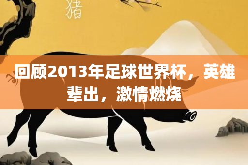 回顾2013年足球世界杯，英雄辈出，激情燃烧