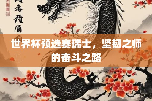 世界杯预选赛瑞士，坚韧之师的奋斗之路