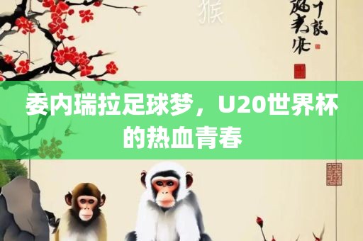 委内瑞拉足球梦，U20世界杯的热血青春