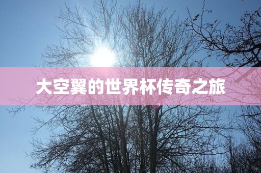 大空翼的世界杯传奇之旅