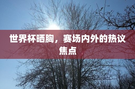世界杯晒胸，赛场内外的热议焦点眉山市正发家政服务有限公司