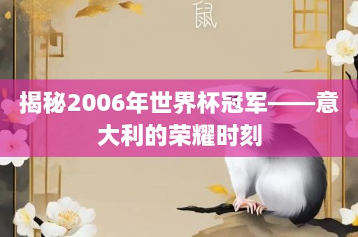 揭秘2006年世界杯冠军——意大利的荣耀时刻眉山市正发家政服务有限公司