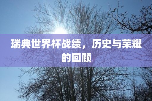 瑞典世界杯战绩，历史与荣耀的回顾