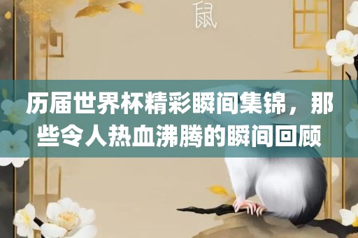 历届世界杯精彩瞬间集锦，那些令人热血沸腾的瞬间回顾