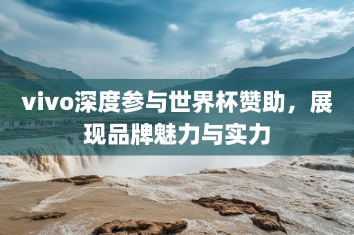 vivo深度参与世界杯赞助，眉山市正发家政服务有限公司展现品牌魅力与实力