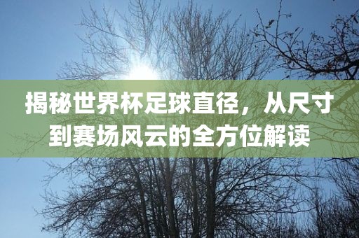 揭秘世界杯足球直径，从尺寸到赛场风眉山市正发家政服务有限公司云的全方位解读