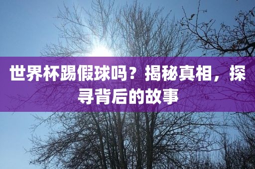 世界杯踢假球吗？揭秘真相，探寻背后的故事