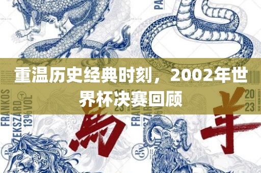 重温历史经典时刻，2002年世界杯决赛回顾眉山市正发家政服务有限公司