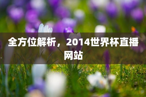 全方位解析，2014世界杯直播网站