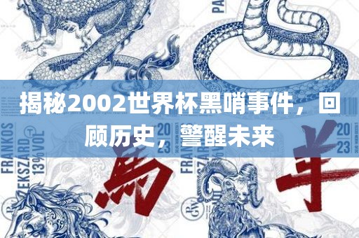 揭秘2002世界杯黑哨事件，回顾历史，警醒未来