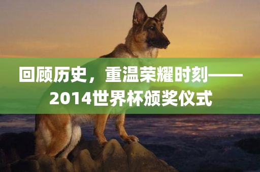 回顾历史，重温荣耀时刻——2014世界杯颁奖仪式