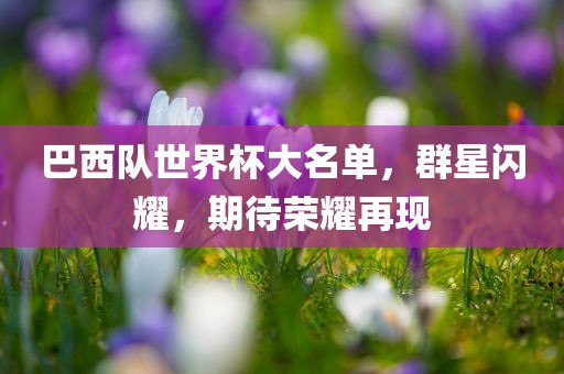 巴西队世界杯大名单，群星闪耀，期待荣耀再现