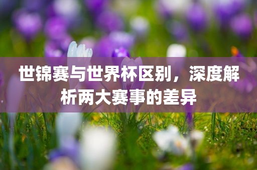 世锦赛与世界杯区眉山市正发家政服务有限公司别，深度解析两大赛事的差异