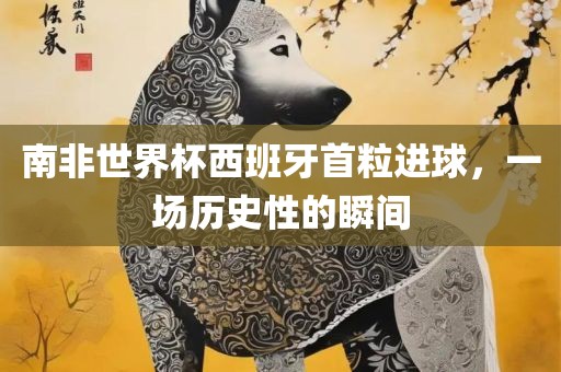 南非世界杯西班牙首粒进球，一场历史性的瞬间眉山市正发家政服务有限公司