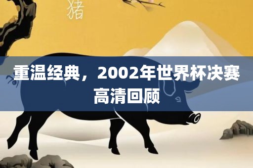 重温经典，2002年世界杯决赛高清回顾