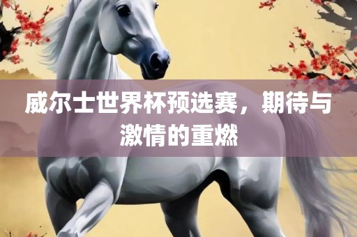 威尔士世界杯预选赛，期待与激情的重燃