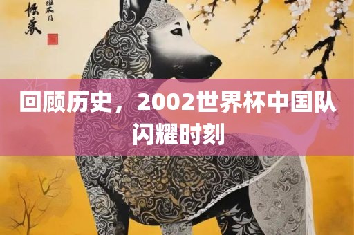 回顾历史，2002世界杯中国队闪耀时刻