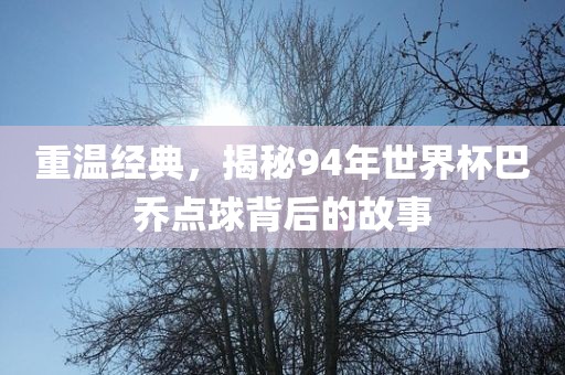 重温经典，揭秘94年世界杯巴乔眉山市正发家政服务有限公司点球背后的故事