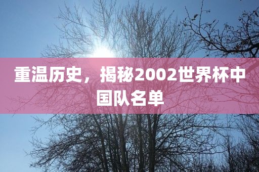 重温历史，揭秘2002世界杯中国队名单眉山市正发家政服务有限公司