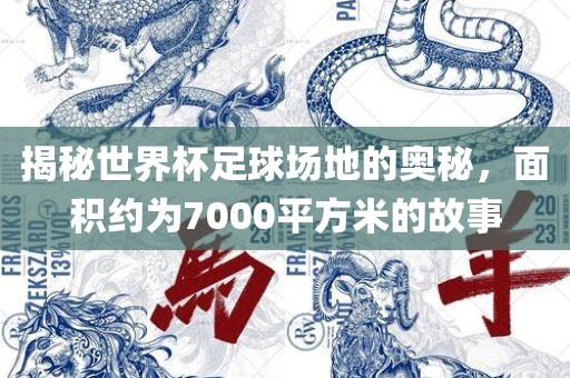 揭秘世界杯足球场地的奥秘，面积约为7000平方米的故事
