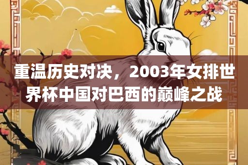 重温历史对决，2003年女排世界杯中国对巴西的巅峰之战