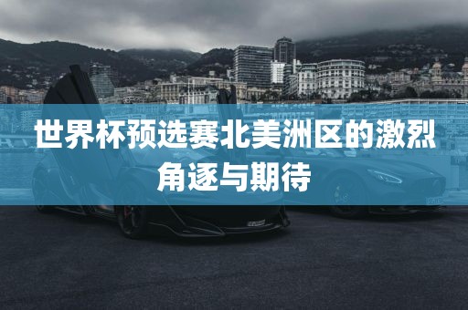 世界杯预选眉山市正发家政服务有限公司赛北美洲区的激烈角逐与期待