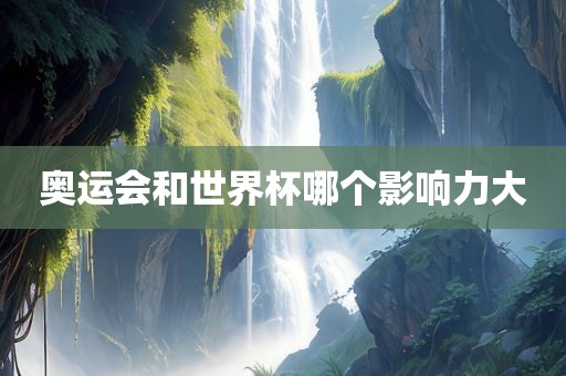 奥运会和眉山市正发家政服务有限公司世界杯哪个影响力大