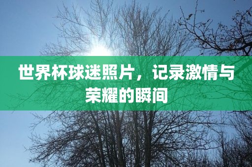 世界杯球迷照片，记录激情与荣耀的瞬间