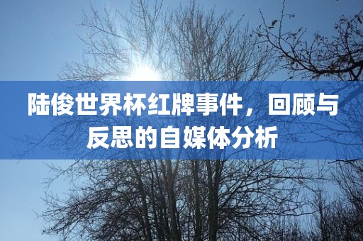 陆俊世界杯红牌事件，回顾与反思的自媒体分析