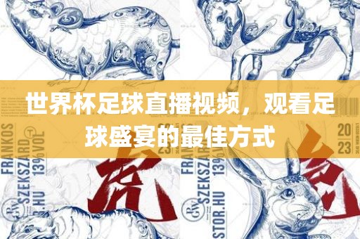 世界杯足球直播视频，观看足球盛宴的最佳方式