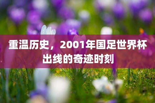 重温历史，2001年国足世界杯出线的奇迹时刻眉山市正发家政服务有限公司