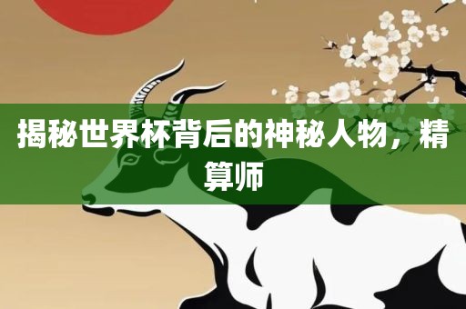 揭秘世界杯背后的神秘人物，精算师眉山市正发家政服务有限公司