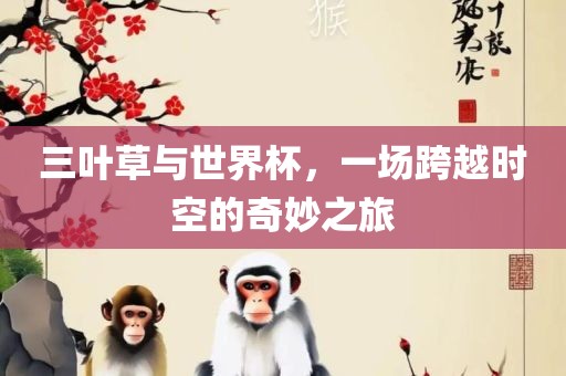 三叶草与世界杯，一场跨越时空的奇妙之旅