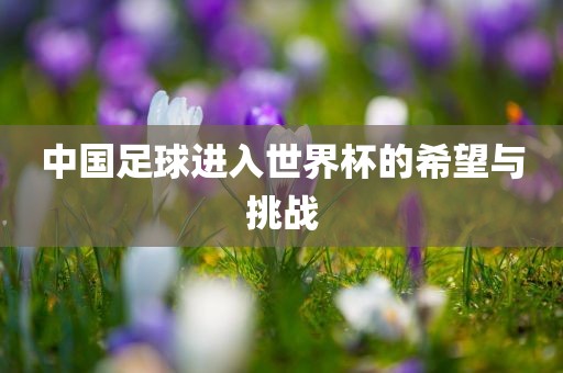 中国足球进入世界杯的希望与挑战眉山市正发家政服务有限公司