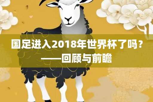国足进入2018年世界杯了吗？——回顾与前瞻
