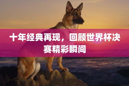 十年经典再现，回顾世界杯决赛精彩瞬间