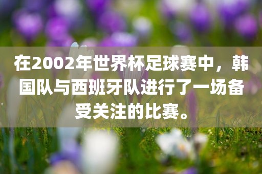 在2002年世界杯足球赛中，韩国队与西班牙队进行了一场备受关注的比赛。