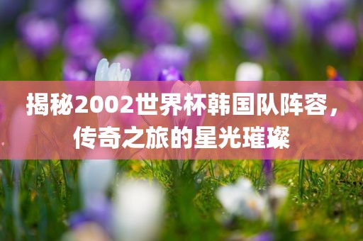 揭秘2002世界杯韩国队阵容，传奇之旅的星光璀璨