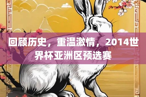 回顾历史，重温激情，2014世界杯亚洲区预选赛