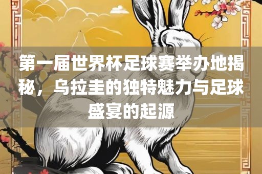 第一届世界杯足球赛举办地揭秘，乌拉圭的独特魅力与足球盛宴的起源眉山市正发家政服务有限公司