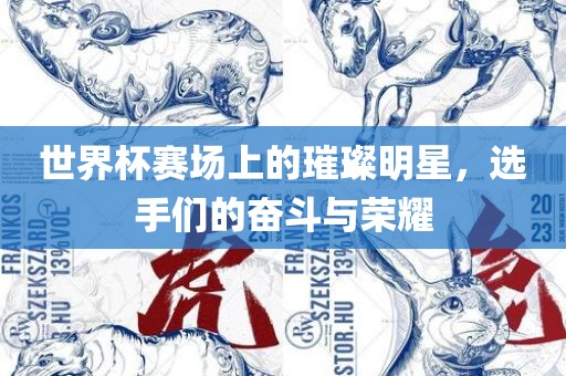 世界杯赛场上的璀璨明星，选手们的奋斗与荣耀