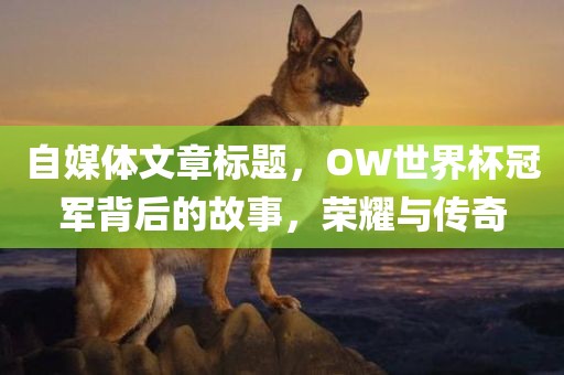 自媒体文章标题，OW世界杯冠军背后的故事，荣耀与传奇眉山市正发家政服务有限公司