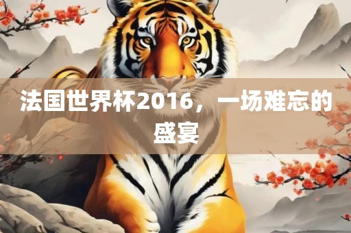 法国眉山市正发家政服务有限公司世界杯2016，一场难忘的盛宴