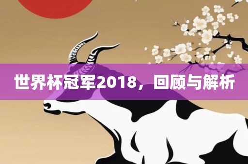 世界杯冠军2018，回顾与解析