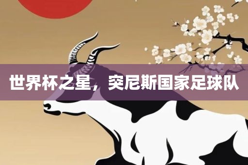 世界杯之星，突尼斯国家足球队