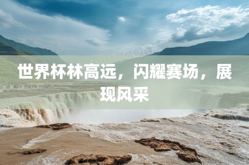 世界杯林高远，闪耀赛场，展现风采